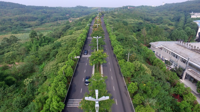 ��������·ˢ���������ڻ�������