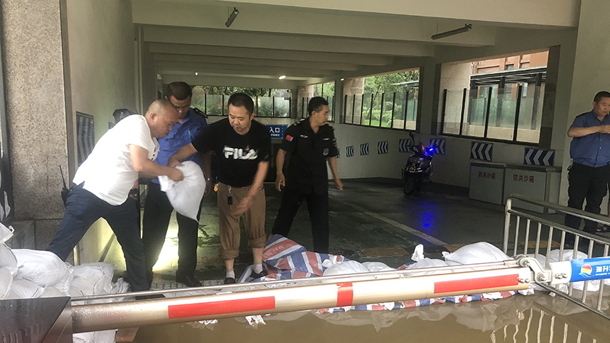 ���롰õ�廨�ǡ����³����ֳ���Ԯ