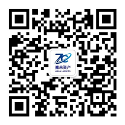 �����ʲ�