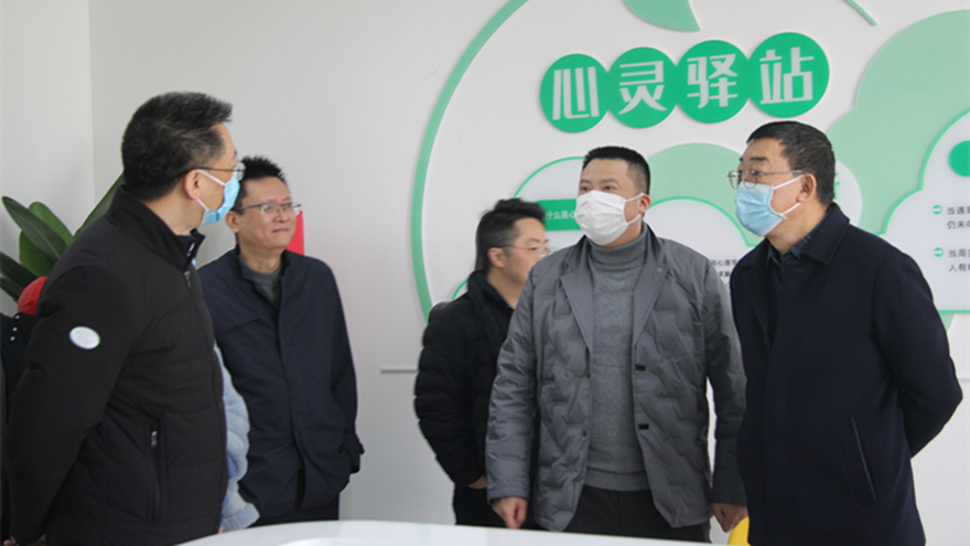 集团向导调研绵实股份_副本