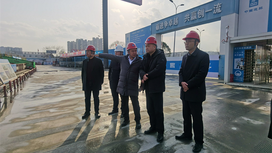 图1：集团党委书记、董事长肖林督导九华府项目