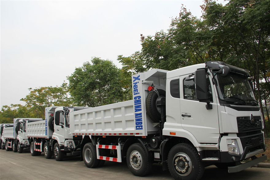 IMG_6800_����