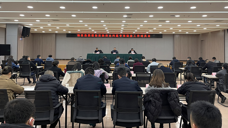 招标采购突出问题专项整治通讯稿照片