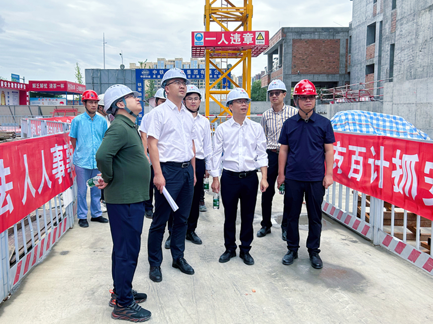 ͼ6�����Ÿ���˾������������Z�Ͻ�����Ŀʩ���徲