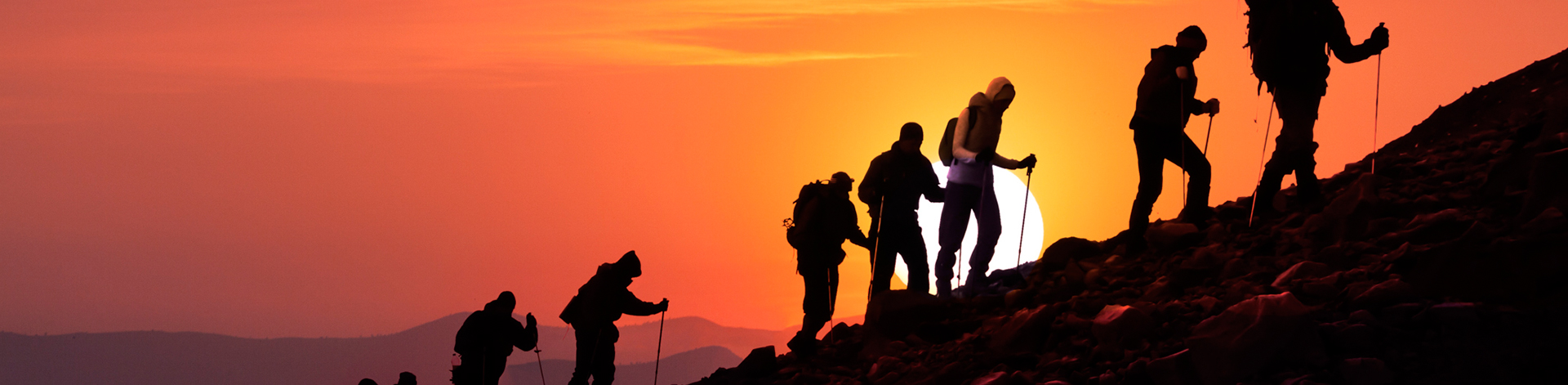 �˲�����