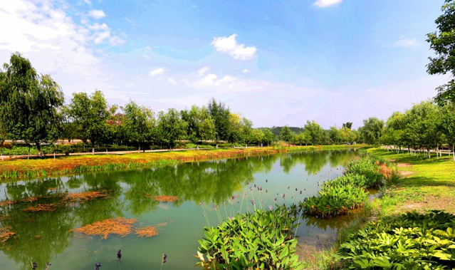 С����̬ʪ�ع�԰