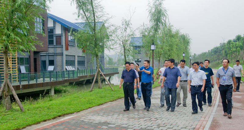 BB���ӹ���