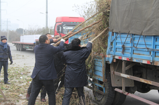 BB���ӹ���