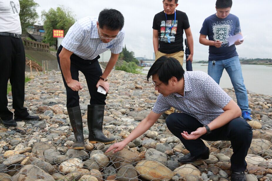 BB���ӹ���